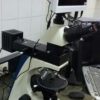 دوربین میکروسکوپ صفحه بزرگ